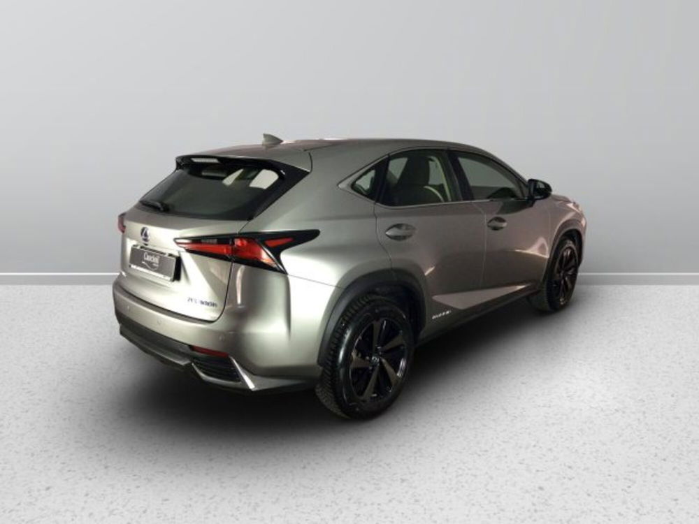 Lexus NX usata a Teramo (6)