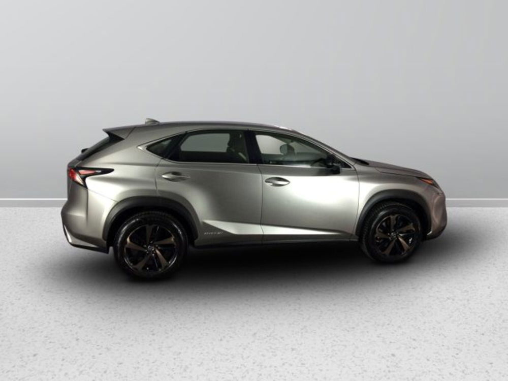 Lexus NX usata a Teramo (7)