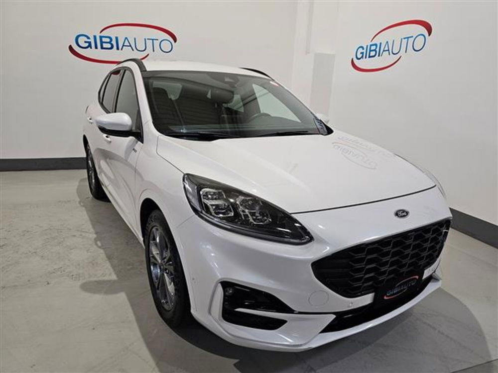 Ford Kuga usata a Palermo (6)