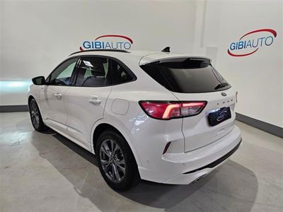 Ford Kuga 2.5 phev Titanium 2wd 243cv auto del 2020 usata a Palermo