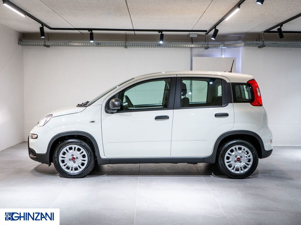 Fiat Panda Cross nuova a Bergamo (4)