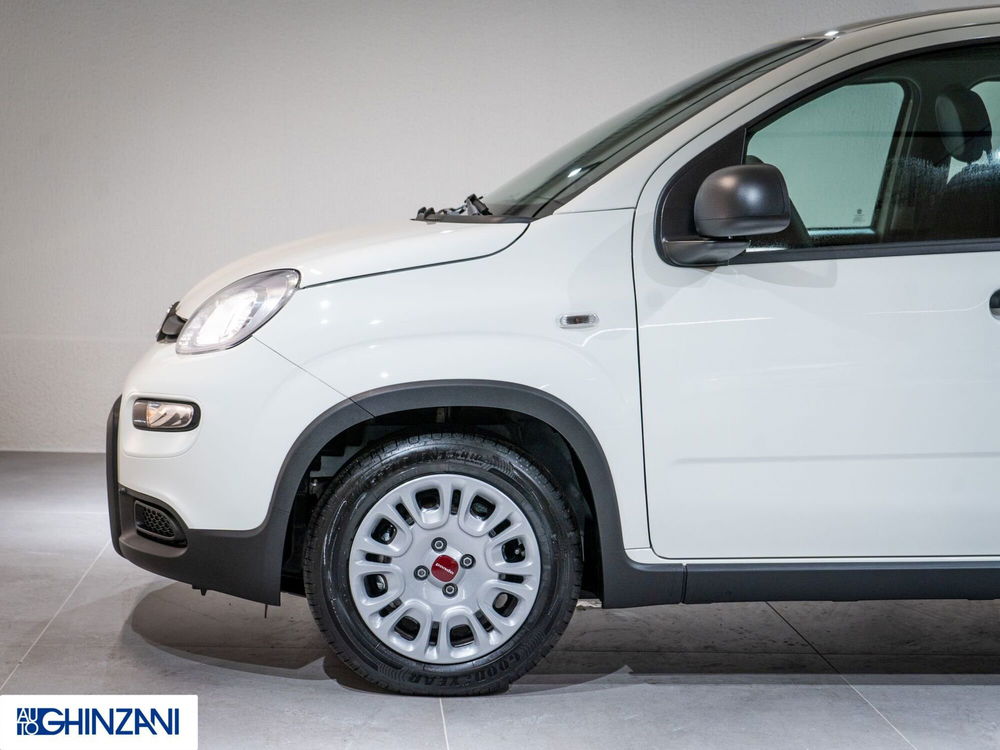 Fiat Panda Cross nuova a Bergamo (8)