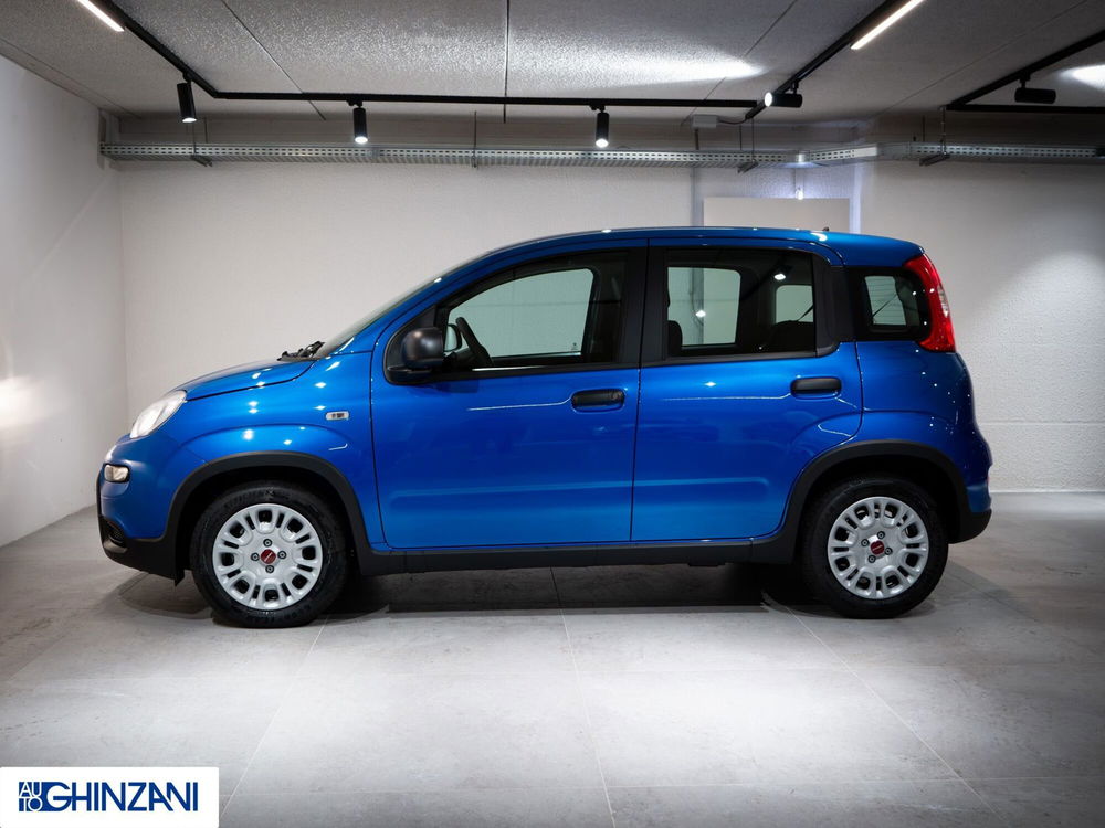 Fiat Panda nuova a Bergamo (4)