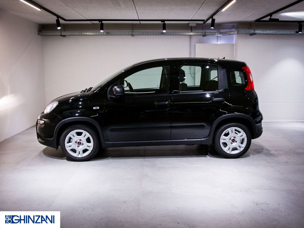 Fiat Panda Cross nuova a Bergamo (5)