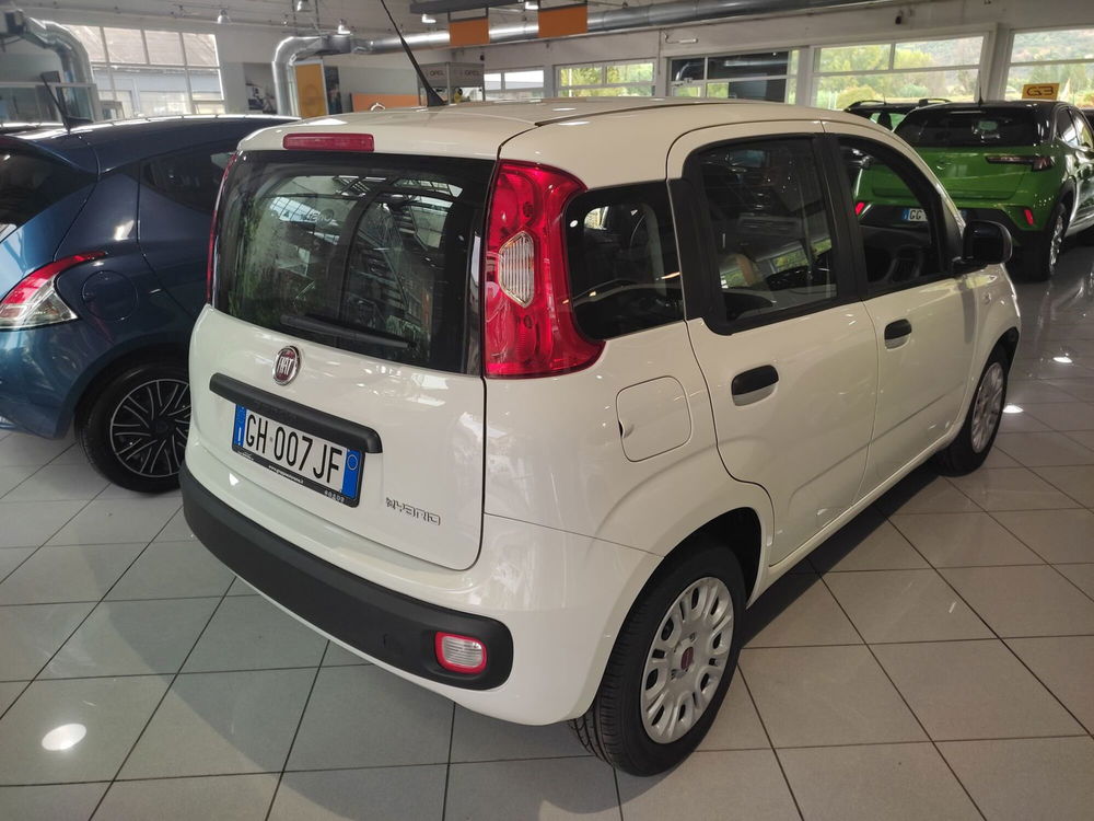 Fiat Panda Cross usata a Prato (5)