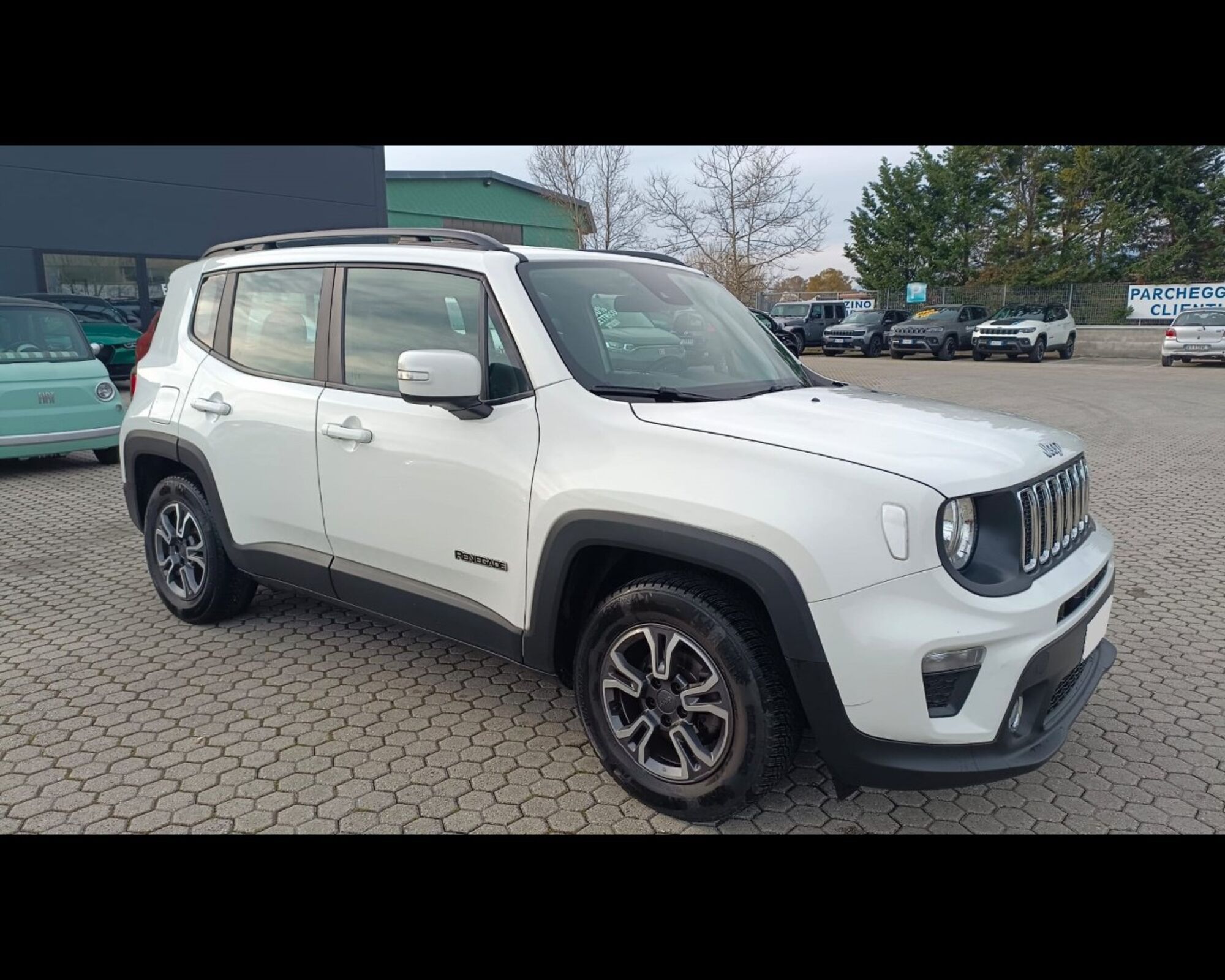 Jeep Renegade 1.6 Mjt 120 CV Longitude  del 2019 usata a Massarosa