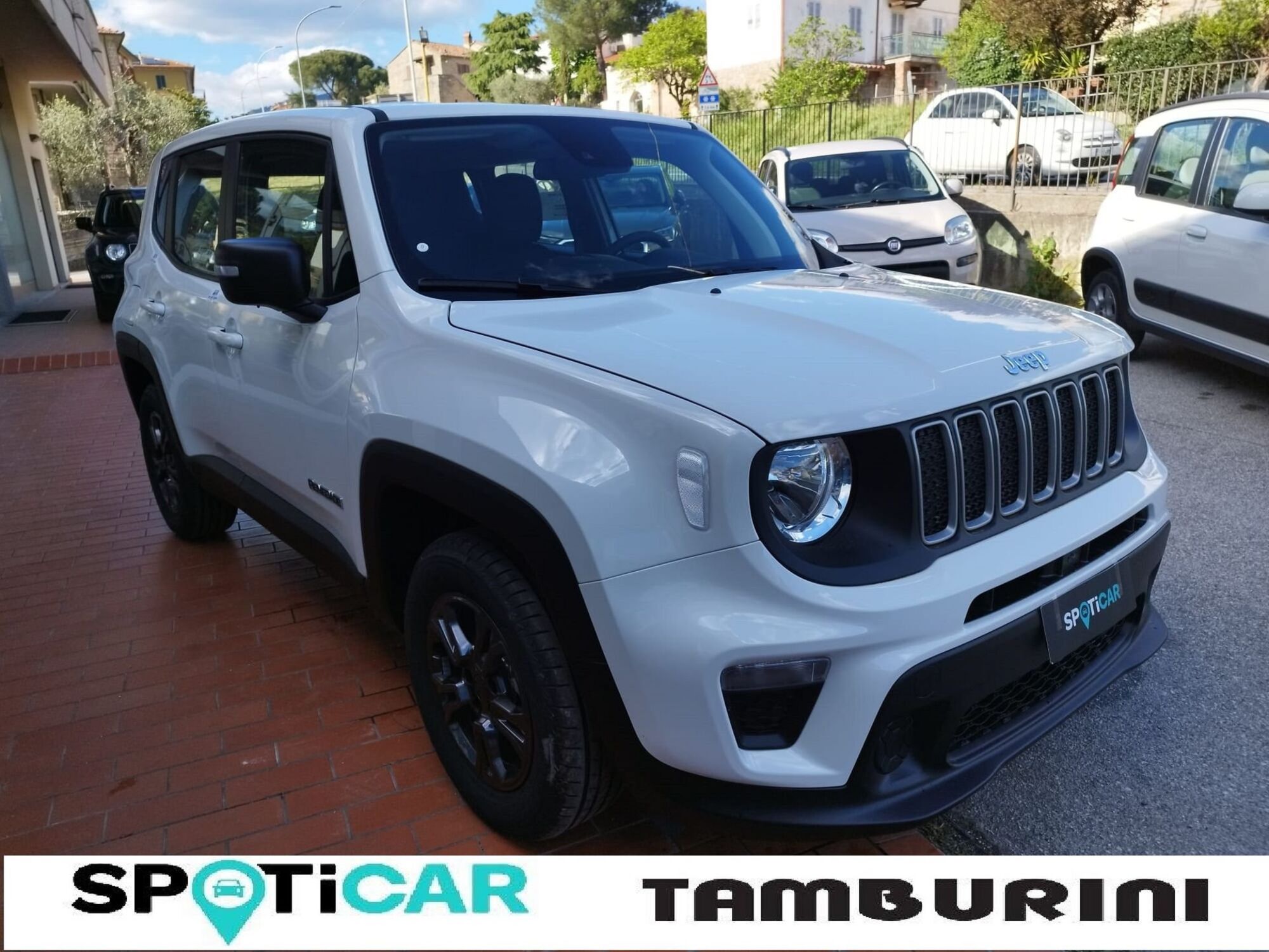 Jeep Renegade 1.6 Mjt 130 CV Longitude  nuova a Cortona