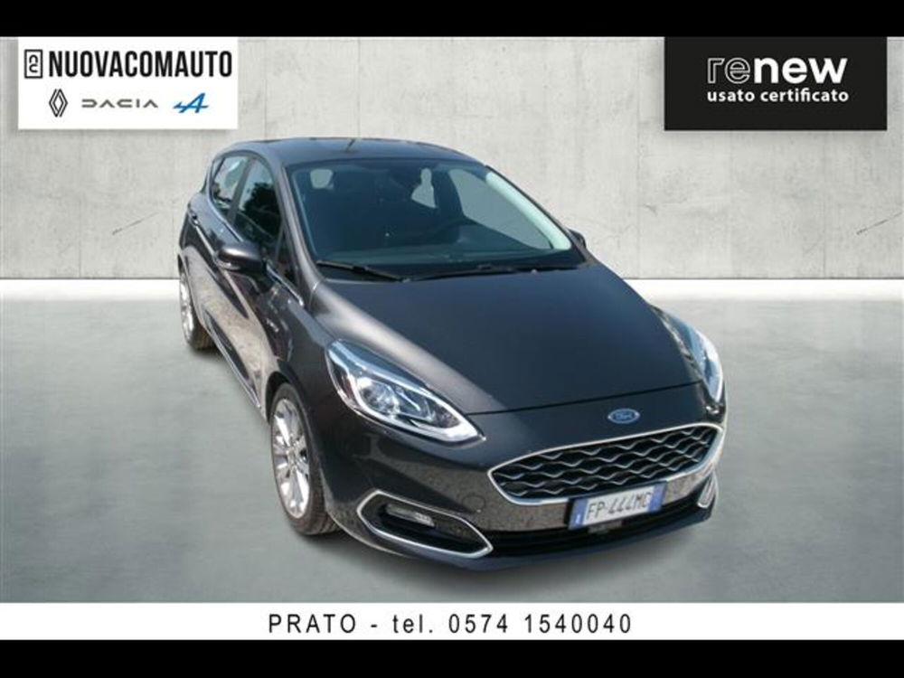 Ford Fiesta usata a Firenze (2)