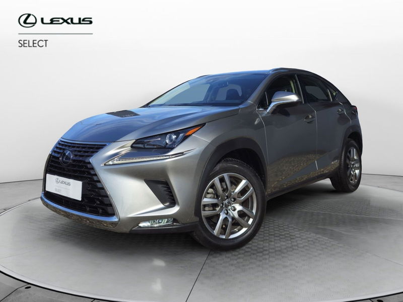 Lexus NX Hybrid Business  del 2021 usata a Cremona