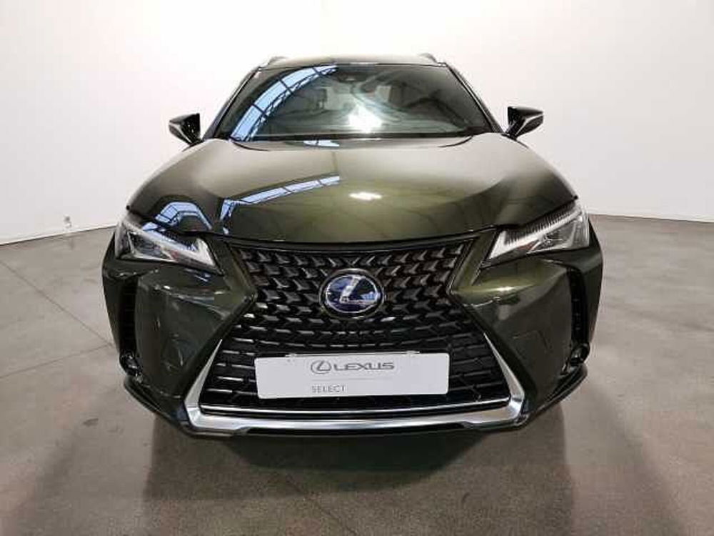 Lexus UX usata a Chieti (2)