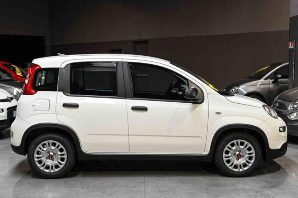 Fiat Panda nuova a Torino (4)