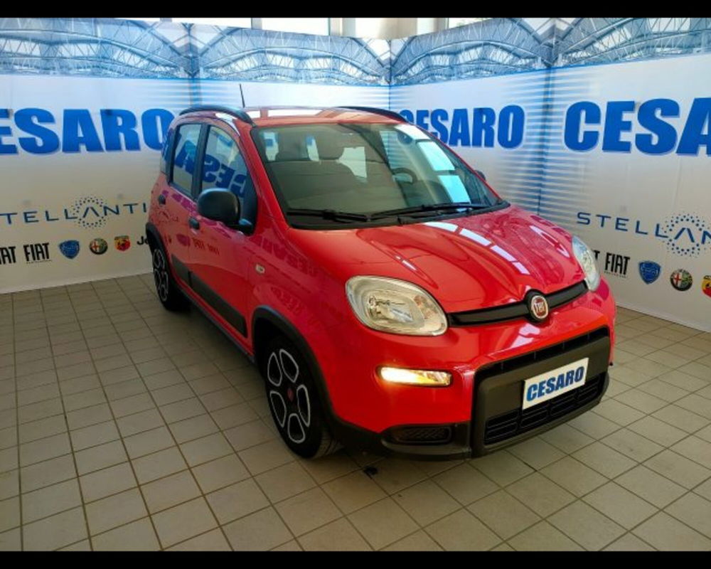 Fiat Panda usata a Aosta (2)