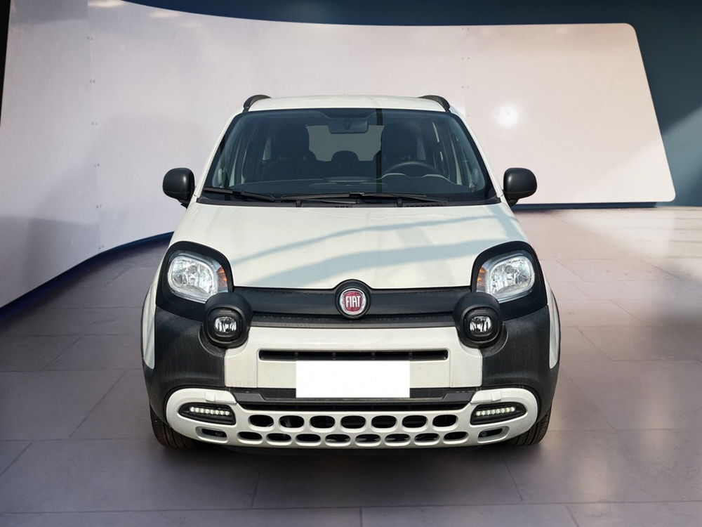 Fiat Panda Cross usata a Torino