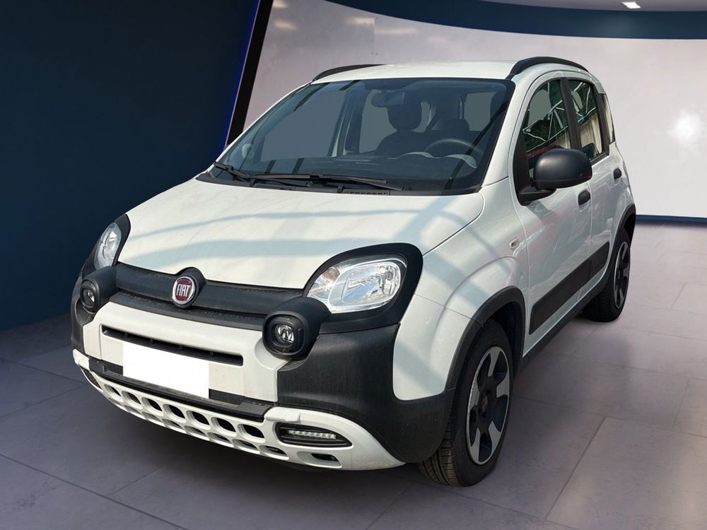 Fiat Panda Cross usata a Torino (2)