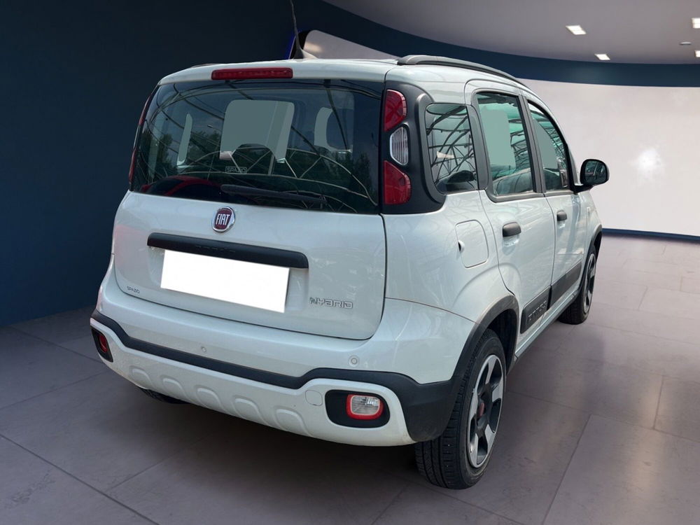 Fiat Panda Cross usata a Torino (4)