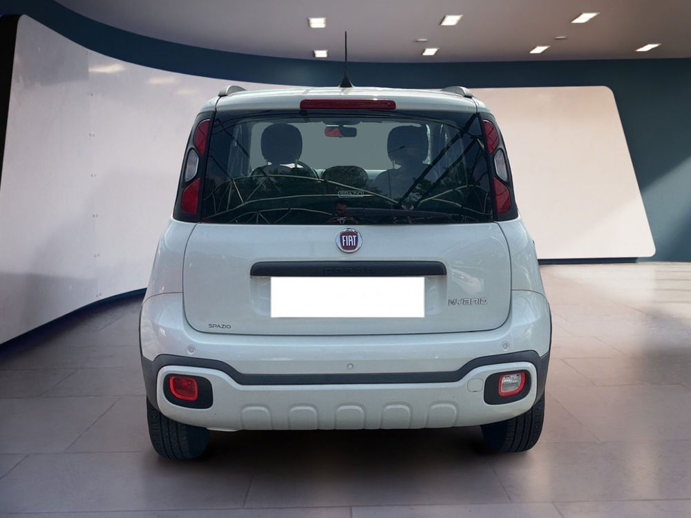 Fiat Panda Cross usata a Torino (6)