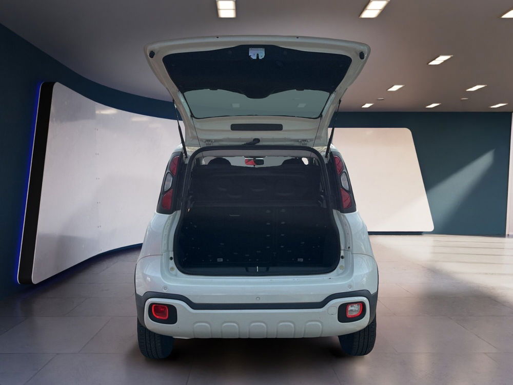 Fiat Panda Cross usata a Torino (7)