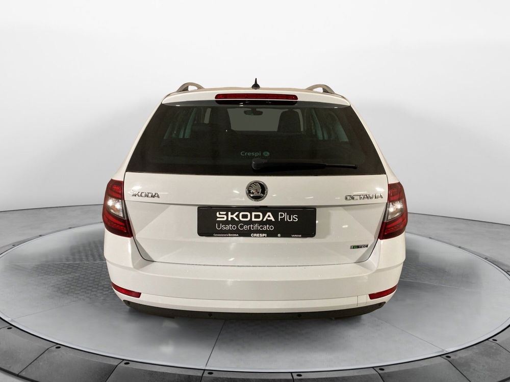 Skoda Octavia Station Wagon usata a Varese (5)