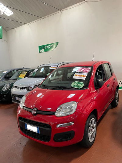 Fiat Panda 0.9 TwinAir Turbo Natural Power Easy  del 2019 usata a Altopascio