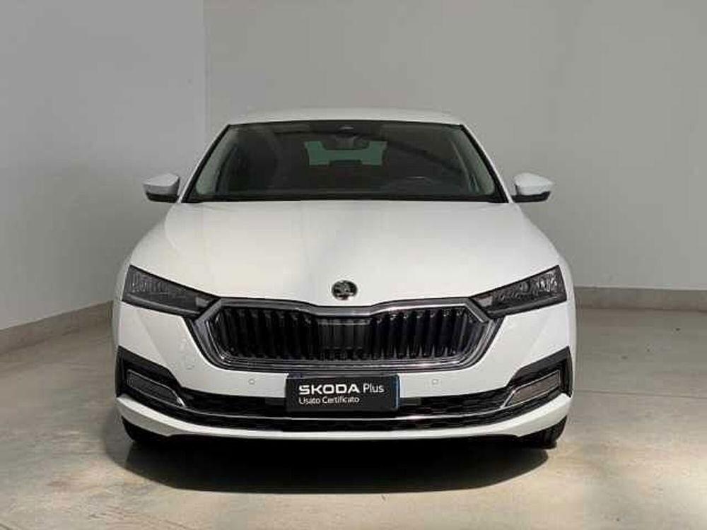 Skoda Octavia usata a Barletta-Andria-Trani (2)