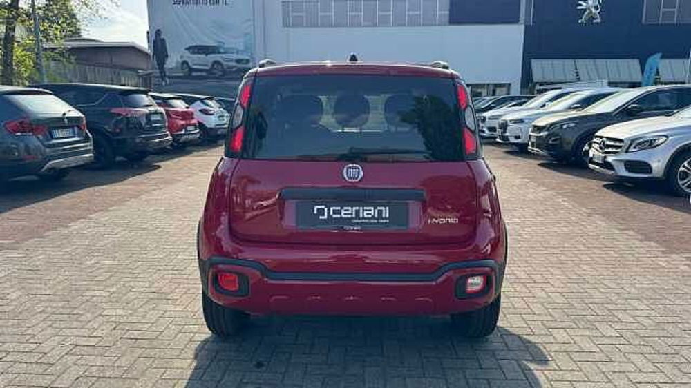 Fiat Panda Cross usata a Milano (4)