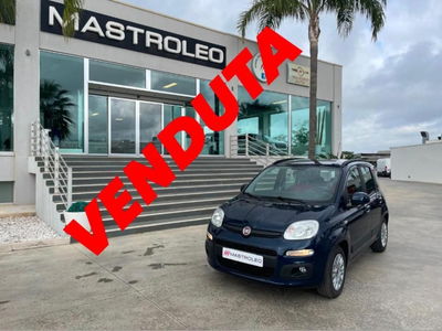 Fiat Panda 1.2 Lounge  del 2019 usata a Tricase