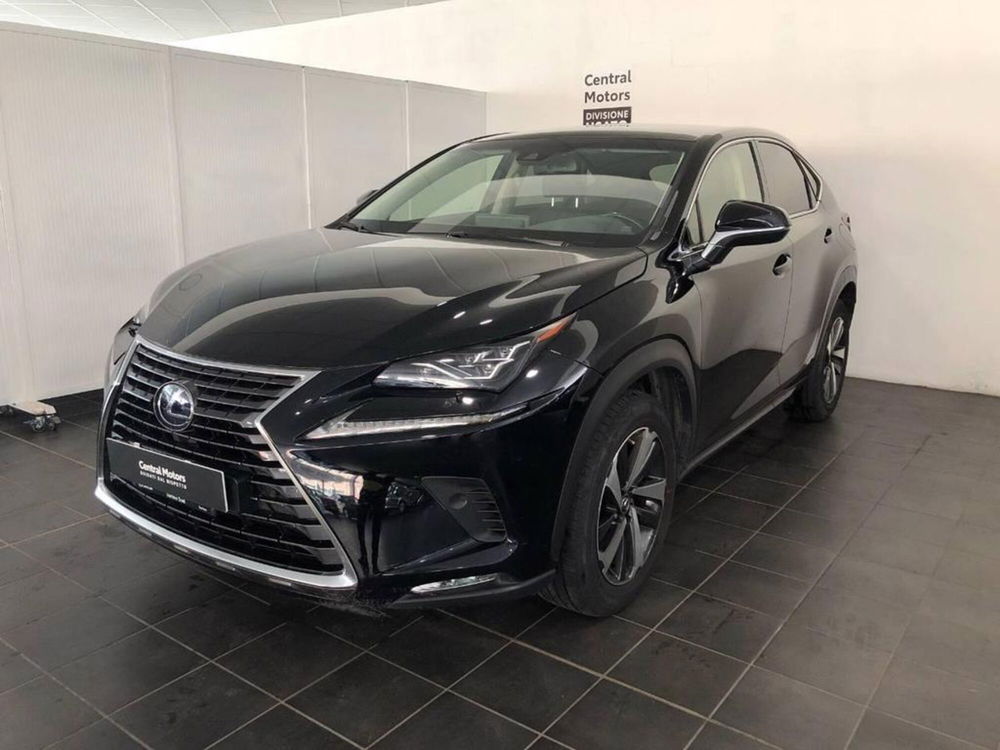 Lexus NX usata a Torino