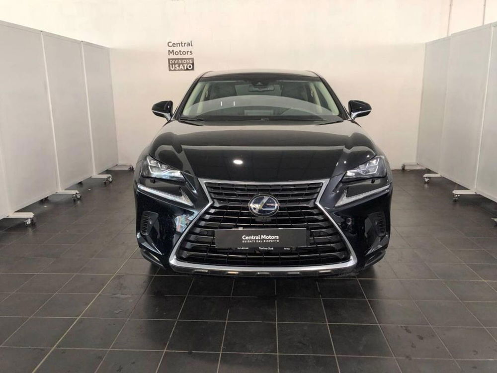 Lexus NX usata a Torino (2)