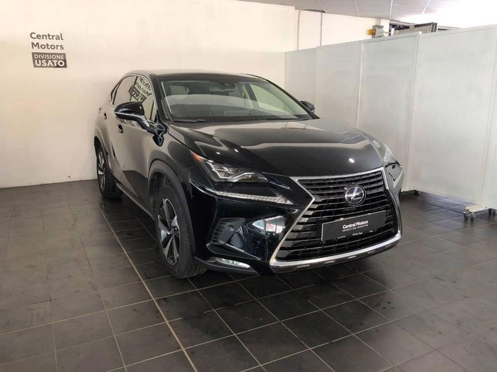 Lexus NX usata a Torino (3)