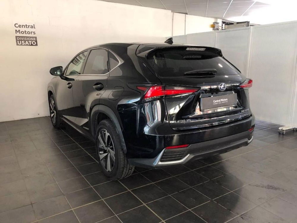 Lexus NX usata a Torino (5)