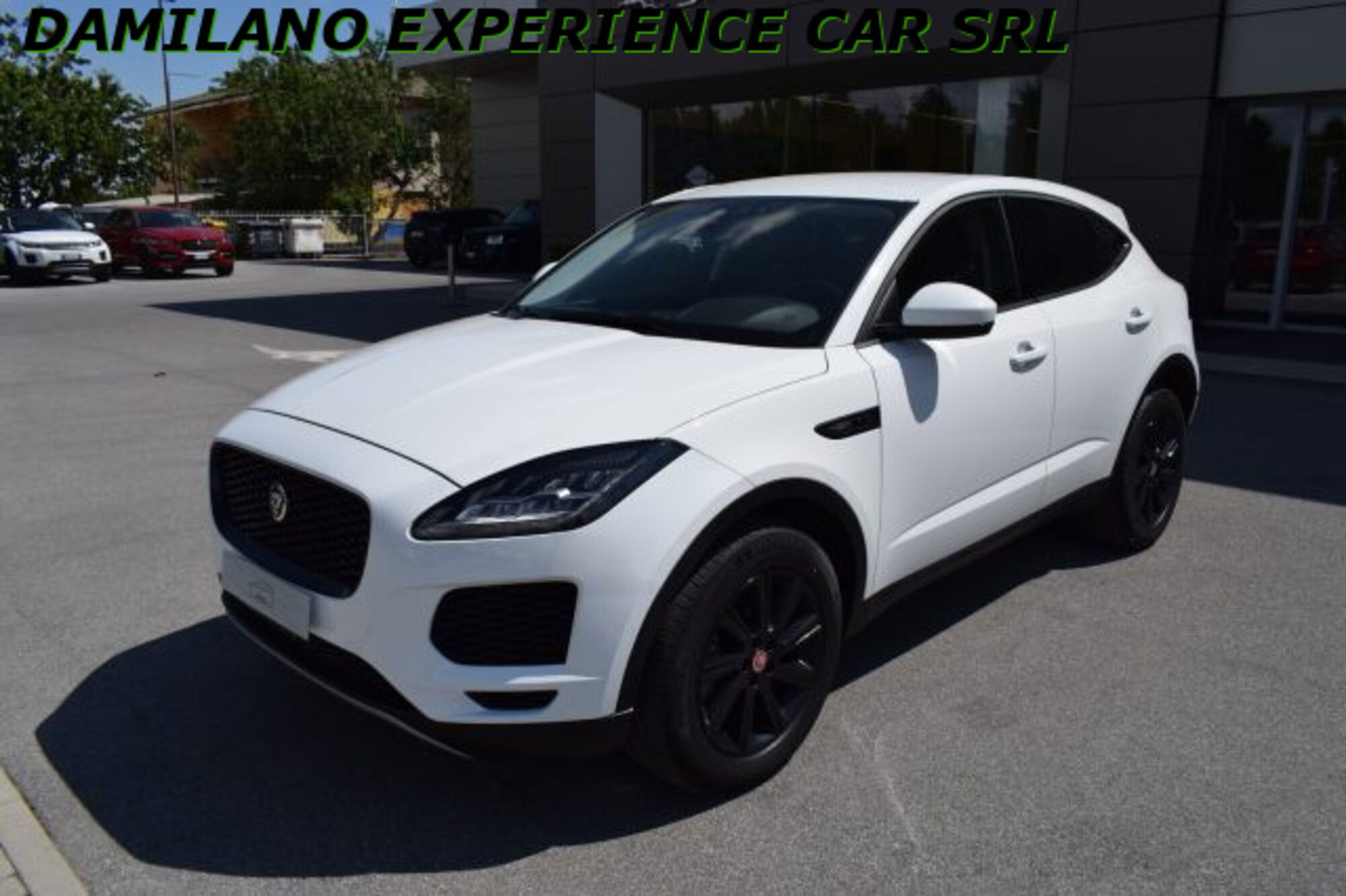 Jaguar E-Pace 2.0D 150 CV AWD aut. S  del 2020 usata a Cuneo