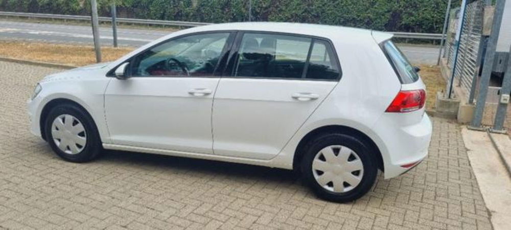 Volkswagen Golf usata a Savona (18)