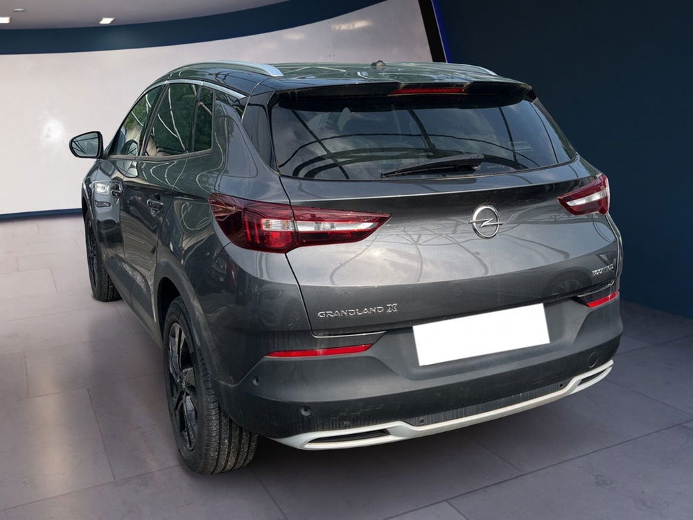 Opel Grandland X usata a Torino (4)