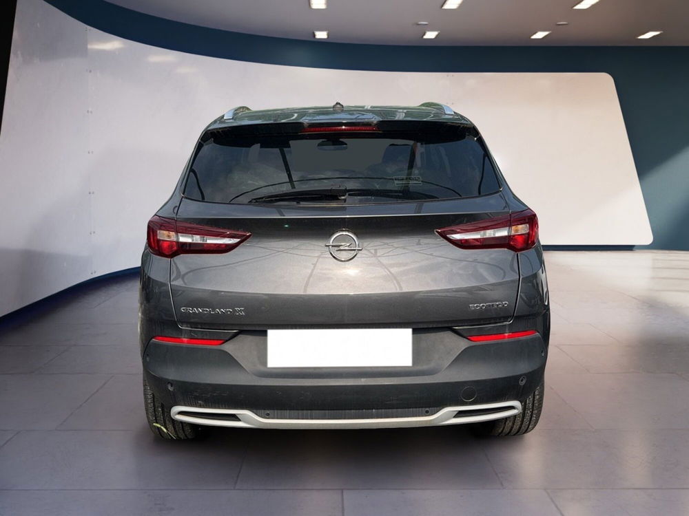 Opel Grandland X usata a Torino (6)