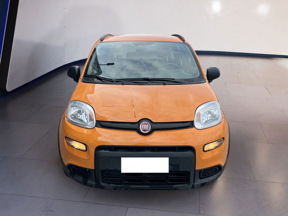 Fiat Panda usata a Torino