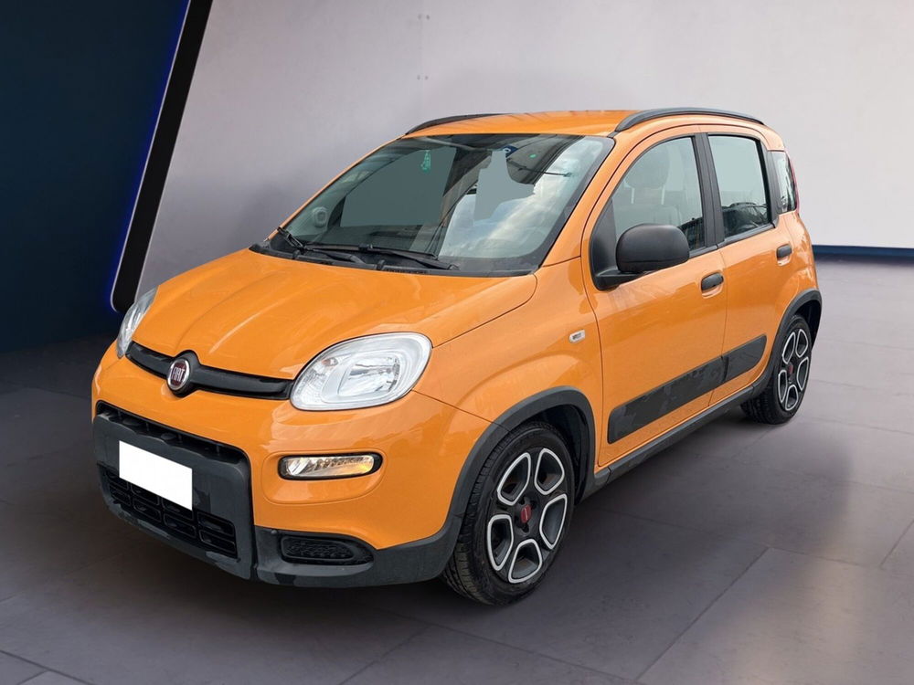 Fiat Panda usata a Torino (2)