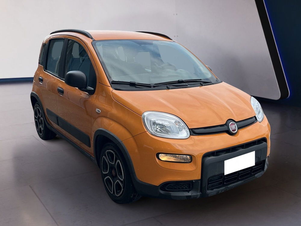 Fiat Panda usata a Torino (3)