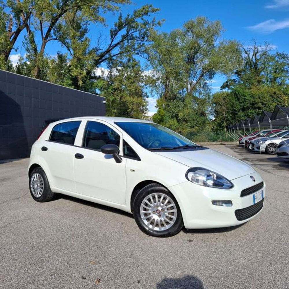 Fiat Punto usata a Pordenone