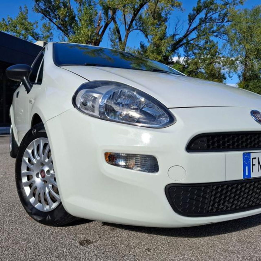 Fiat Punto usata a Pordenone (5)