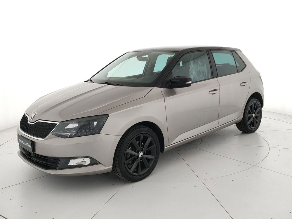 Skoda Fabia usata a Caserta (3)