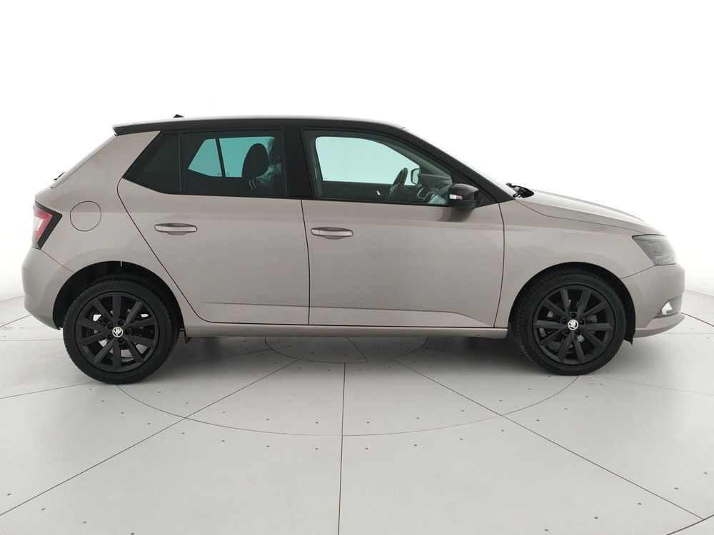 Skoda Fabia usata a Caserta (7)