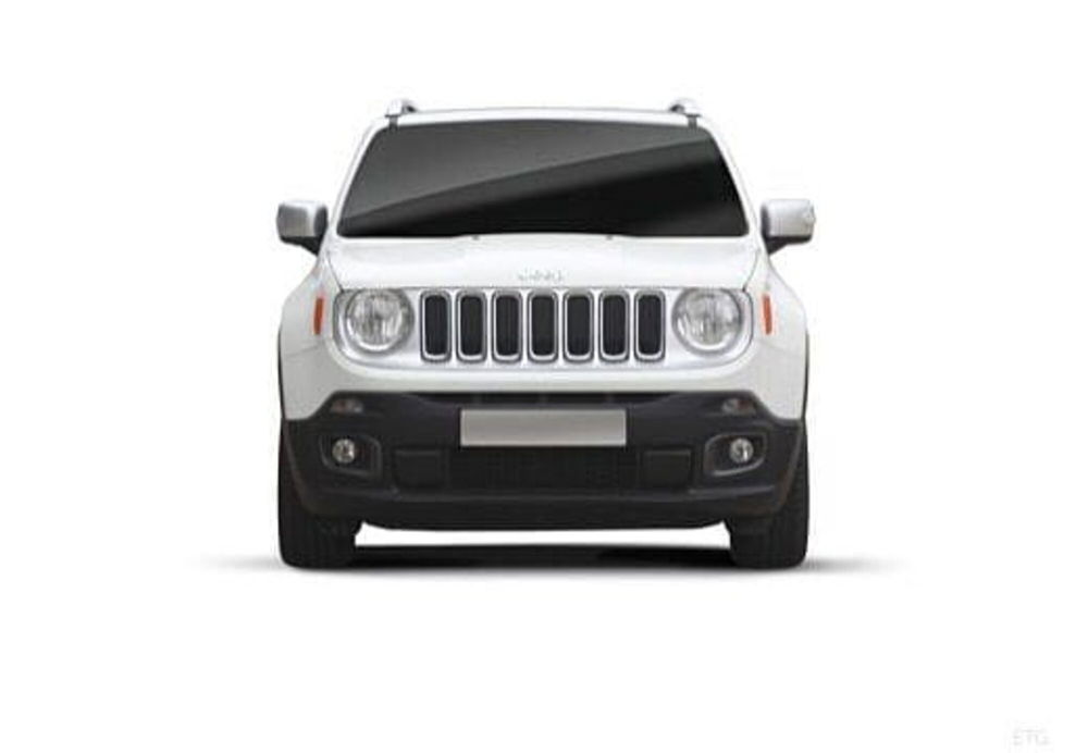 Jeep Renegade usata a Potenza (20)