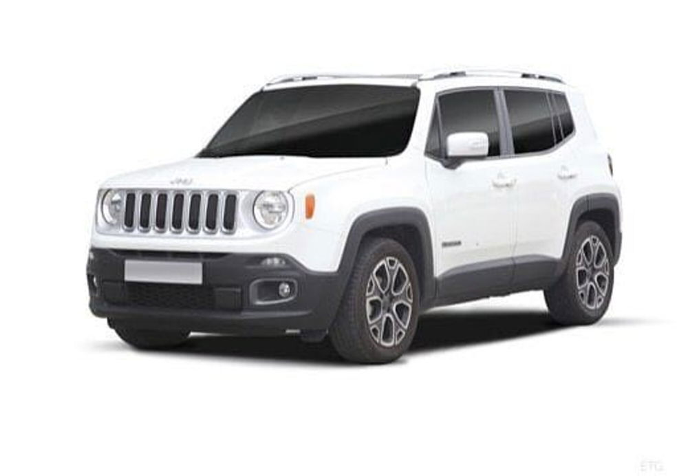 Jeep Renegade usata a Potenza (13)