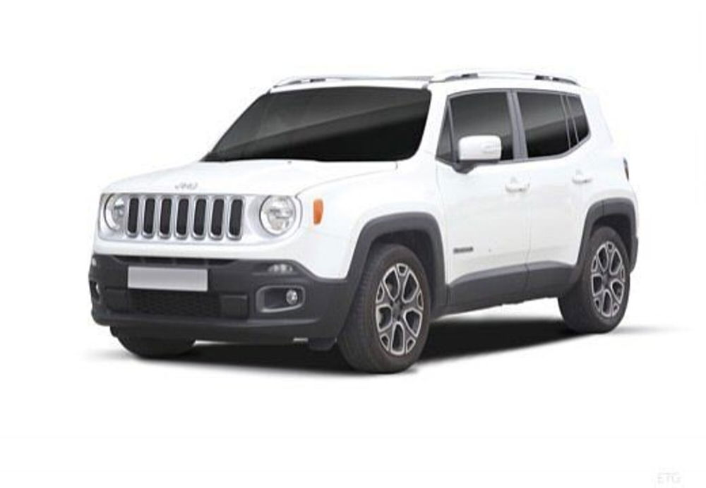 Jeep Renegade usata a Potenza (14)