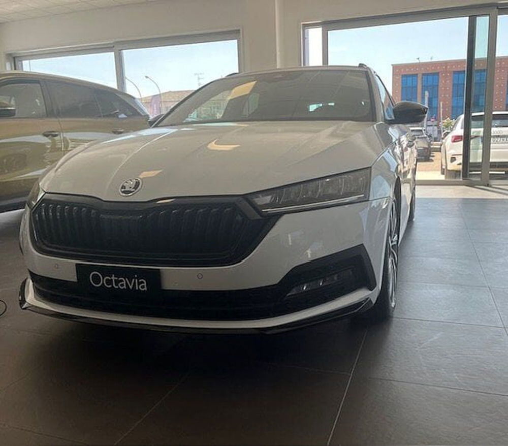 Skoda Octavia Station Wagon nuova a Ancona (2)