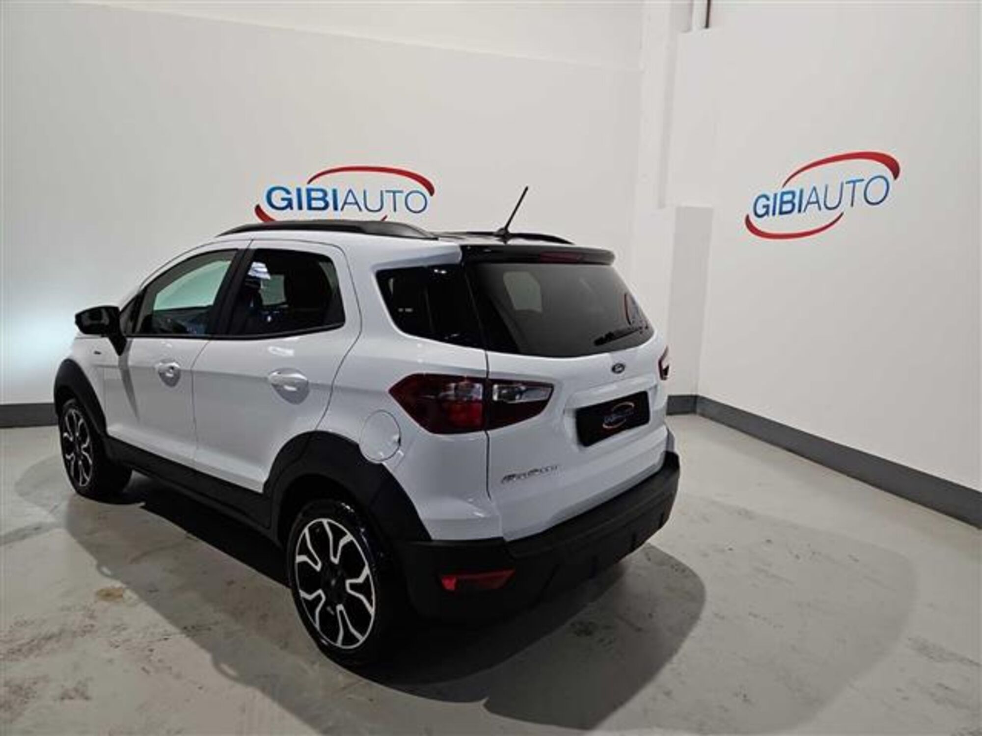 Ford EcoSport 1.0 EcoBoost 125 CV Titanium S del 2021 usata a Palermo