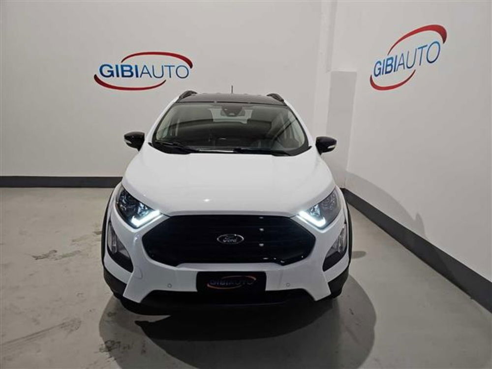 Ford EcoSport usata a Palermo (15)