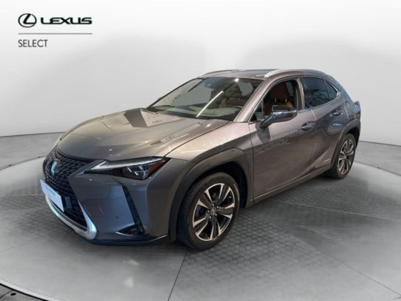 Lexus UX Hybrid 4WD Luxury  del 2019 usata a Cuneo