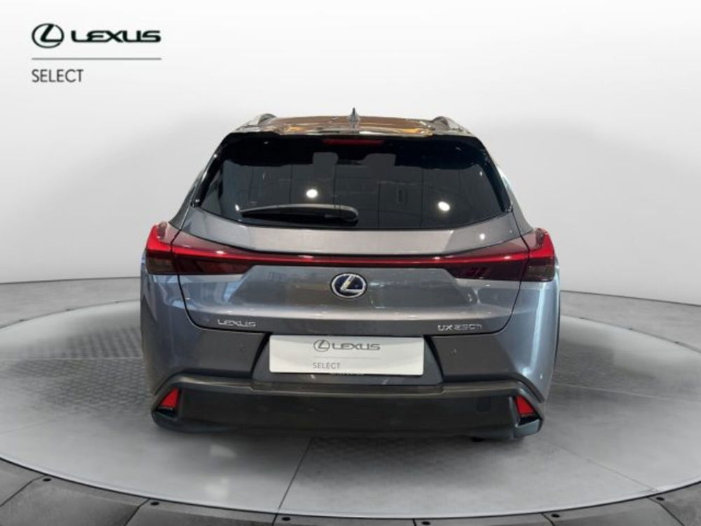 Lexus UX usata a Cuneo (4)