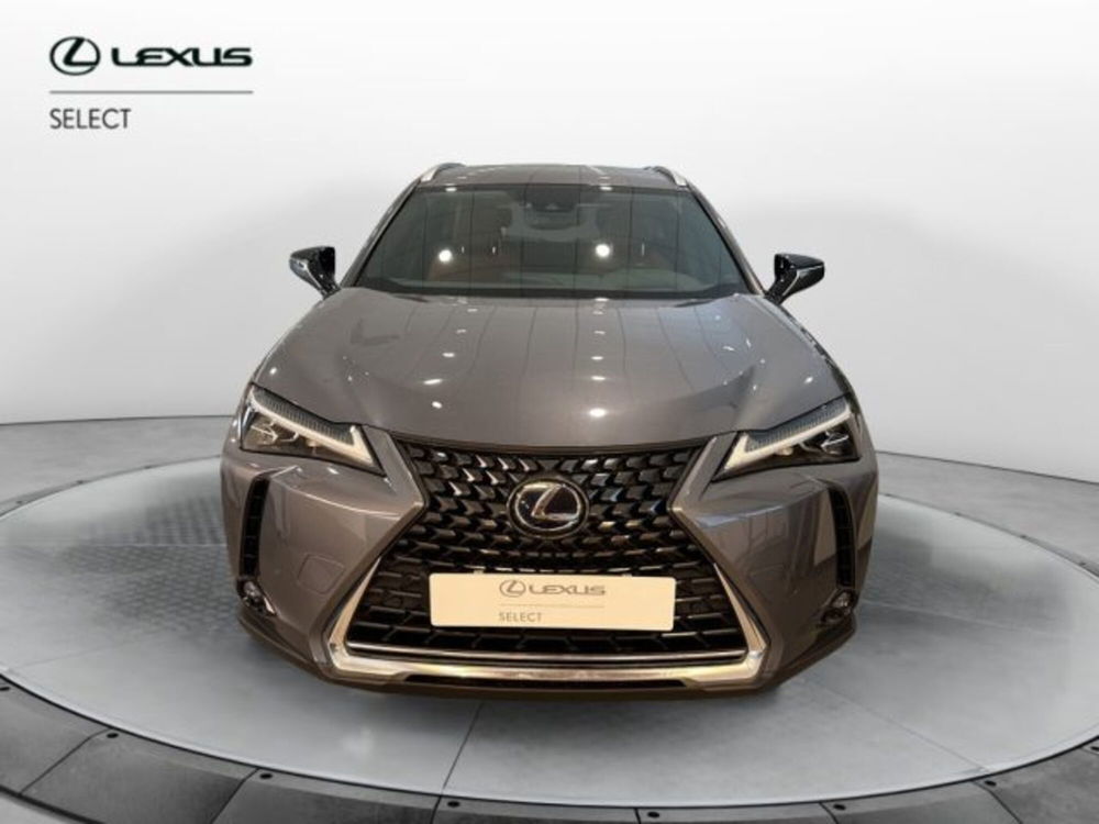 Lexus UX usata a Cuneo (5)